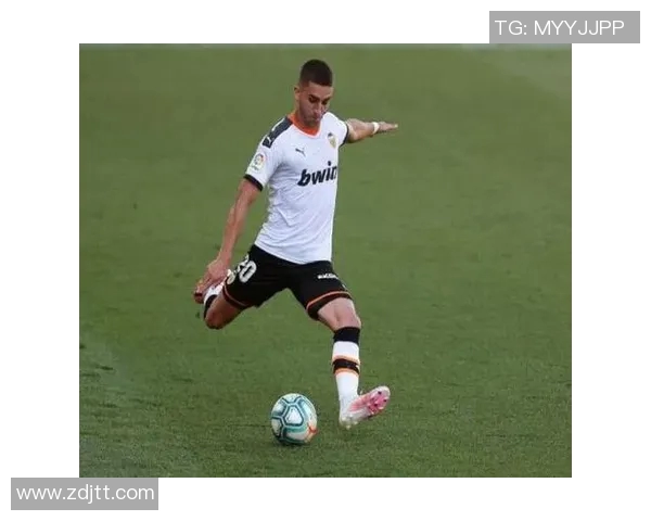 瓦伦西亚足球俱乐部明星球员的辉煌历程与成就解析 瓦伦西亚足球俱乐部明星球员的辉煌历程与成就解析