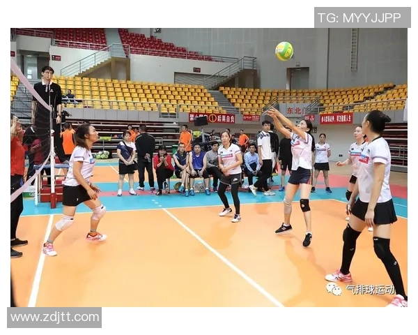 从零基础到高手：全面掌握排球比赛技巧与经验分享