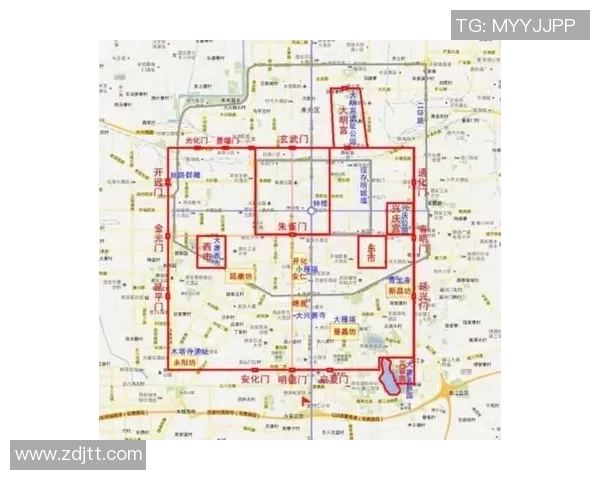 西安排球队的战术布局与比赛意识深度解析
