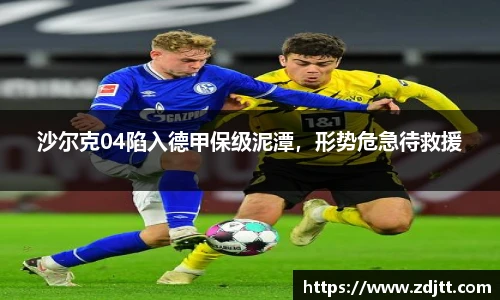 沙尔克04陷入德甲保级泥潭，形势危急待救援